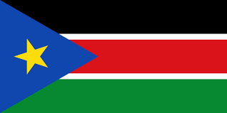 South Sudan .SS - Domgate